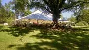 Tent Sational Events image 2