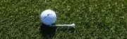 Lone Tree Golf Club logo