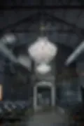 Tin Top Gin image 3