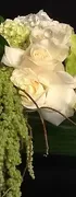 The Black Iris image 2