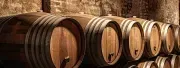 Europa Village Wineries & Resort logo