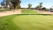 Palm Brook Country Club logo