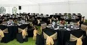 All Events and Party Rentals, Inc. image 4