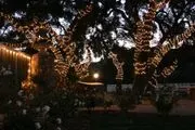 Giracci Vineyards & Farms image 3