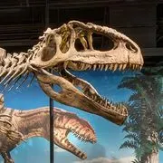 Fernbank Museum of Natural History logo
