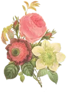 Agape Events image 2