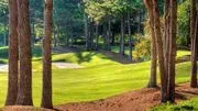 St Ives Country Club Inc image 3