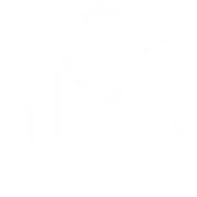 The Majestic Downtown logo