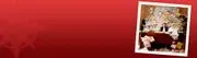 Venuequest logo