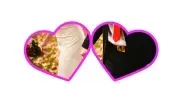 Same Day Marriage Access Legal Services image 3
