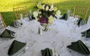 Arcadia Party Rentals image 4