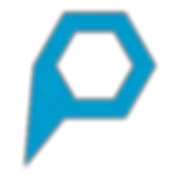 Paragon International Inc logo