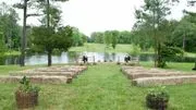 Hollow Creek Plantation image 2