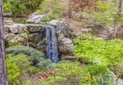 Garvan Woodland Gardens image 2
