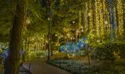 Garvan Woodland Gardens image 3