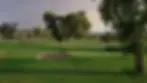 Crystalaire Country Club image 2