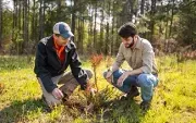 Clemson University Outdoor Lab logo