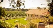 Lincourt Vineyards logo