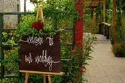 Mariani's Venue image 2