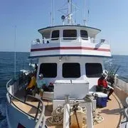 Carolina Princess image 2