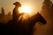 Bosque Farms Rodeo Association image 2