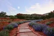 Sedona Mago Retreat logo