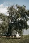 Willow Tree Farms image 2