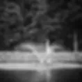 The Owls' Landing Event Destination image 2