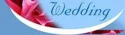 Goin To The Chapel Wedding Planning Services logo