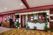 Knights Inn Fayetteville image 4