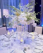 Platinum Affairs Events image 4