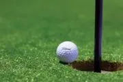 Southern Wayne Country Club logo