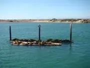 Chablis Cruises image 4