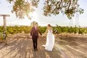 1800 El Pomar - Weddings, Events, And Vineyards image 3