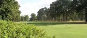 Willow Springs Country Club logo