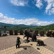 Gatlinburg Skylift Inc image 3