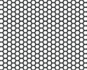 Codex Sound Co image 2