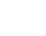 Las Vegas Theme Weddings image 2