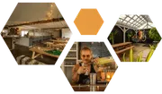 Honeytree Meadery image 2