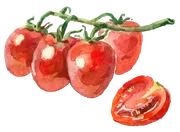 Casa Rustica image 2