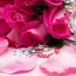 Always & Forever Weddings and Receptions image 2