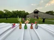 Cedar Springs at Bone Hollow image 3