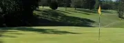 Pilot Knob Park Golf Course image 4
