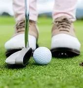 Deep Springs Country Club logo
