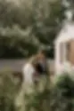 The Tanglewood House image 3