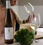 Scheid Vineyards image 4