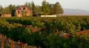 Cardella Winery image 3