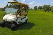 London Country Club logo