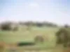 Hope Springs Farm logo