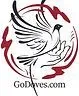GoDoves - Professional White Dove Release image 2